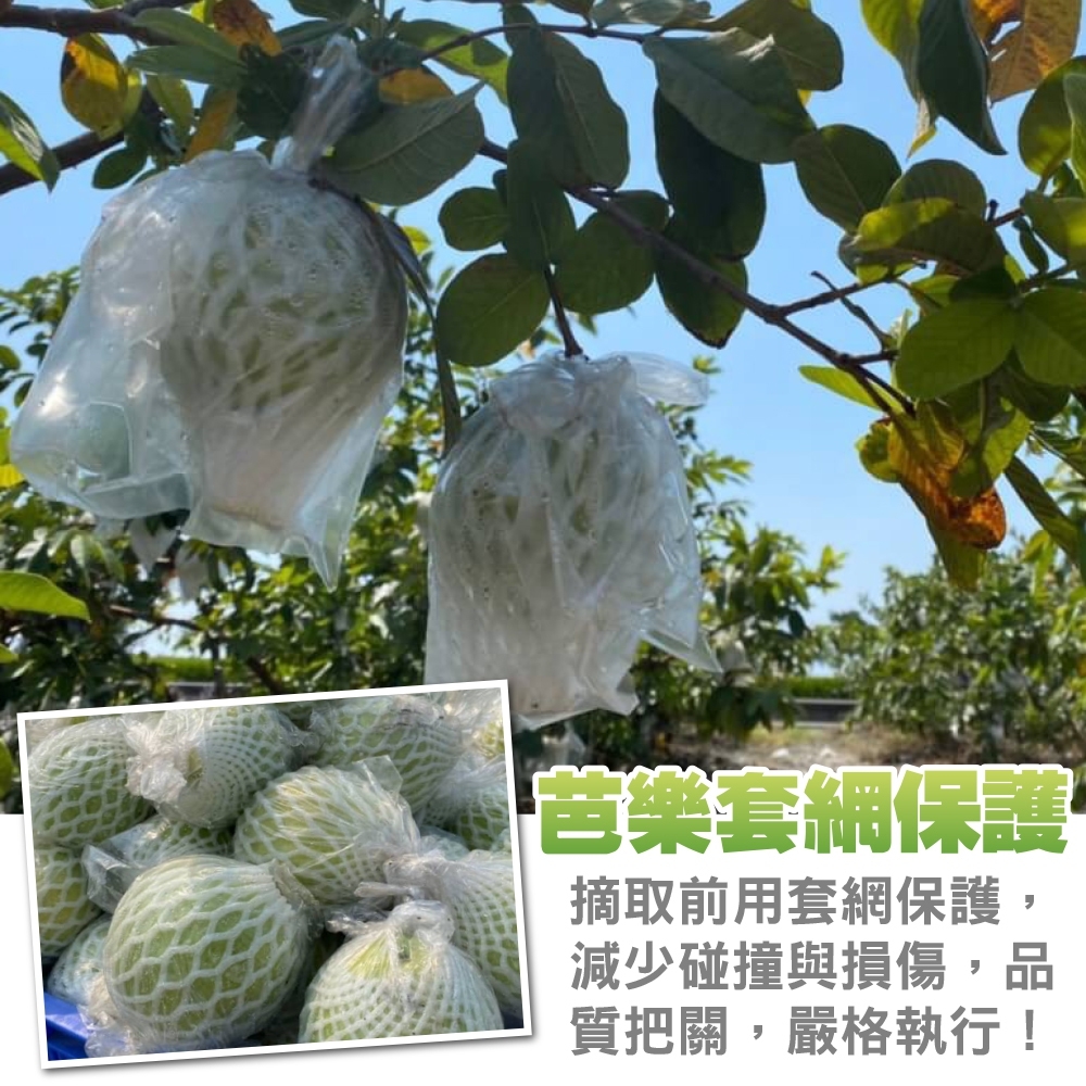 LINE_NOTE_260715_31