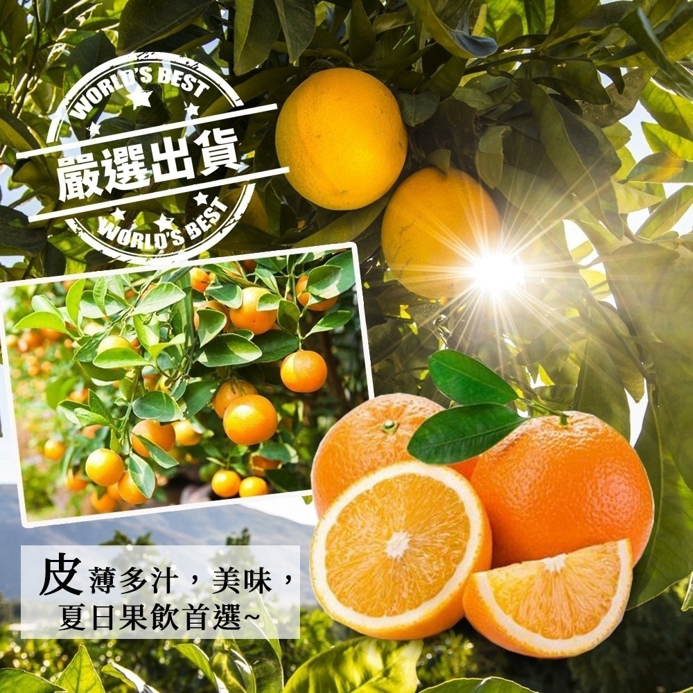 LINE_NOTE_260724_10