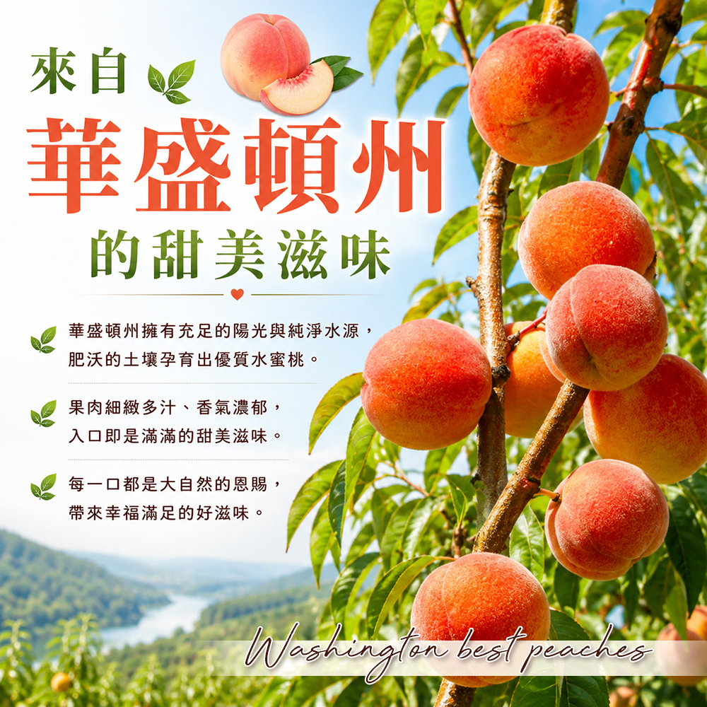 內文1