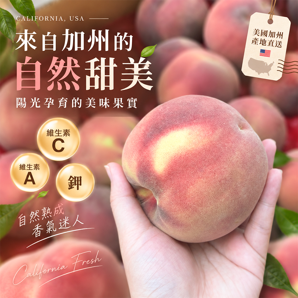 內文3