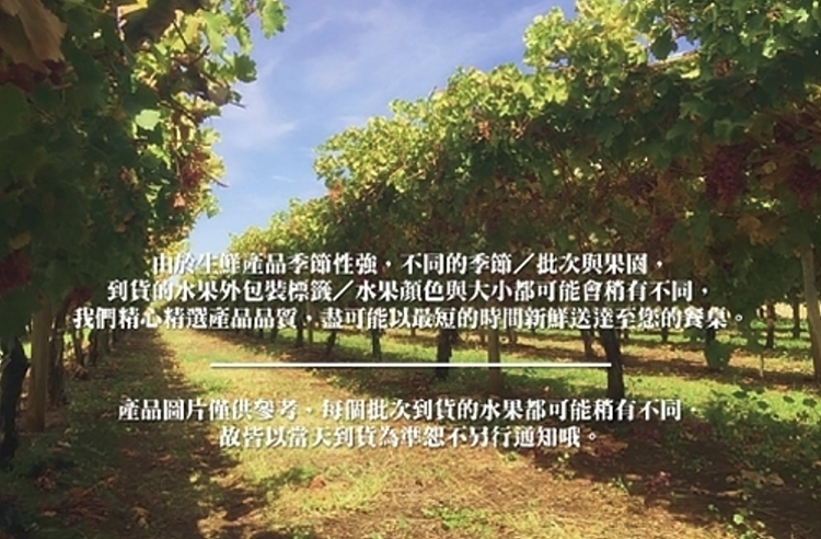 yy5