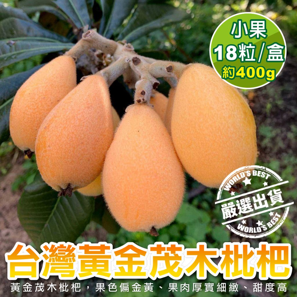 台灣黃金茂木枇杷-7_0