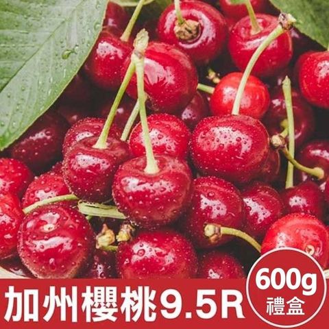 LINE_NOTE_260506_5