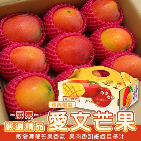 屏東愛文芒果 禮盒