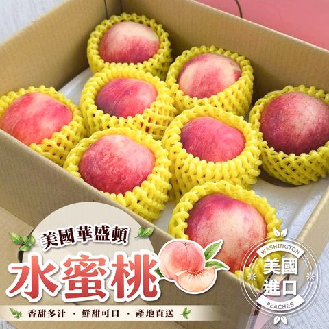 美國華盛頓水蜜桃 禮盒8