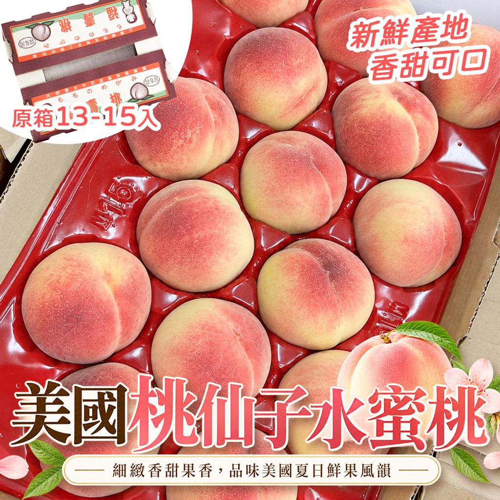 13-15入 原箱