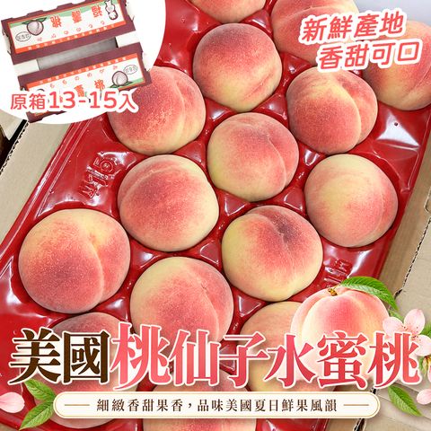 13-15入 原箱
