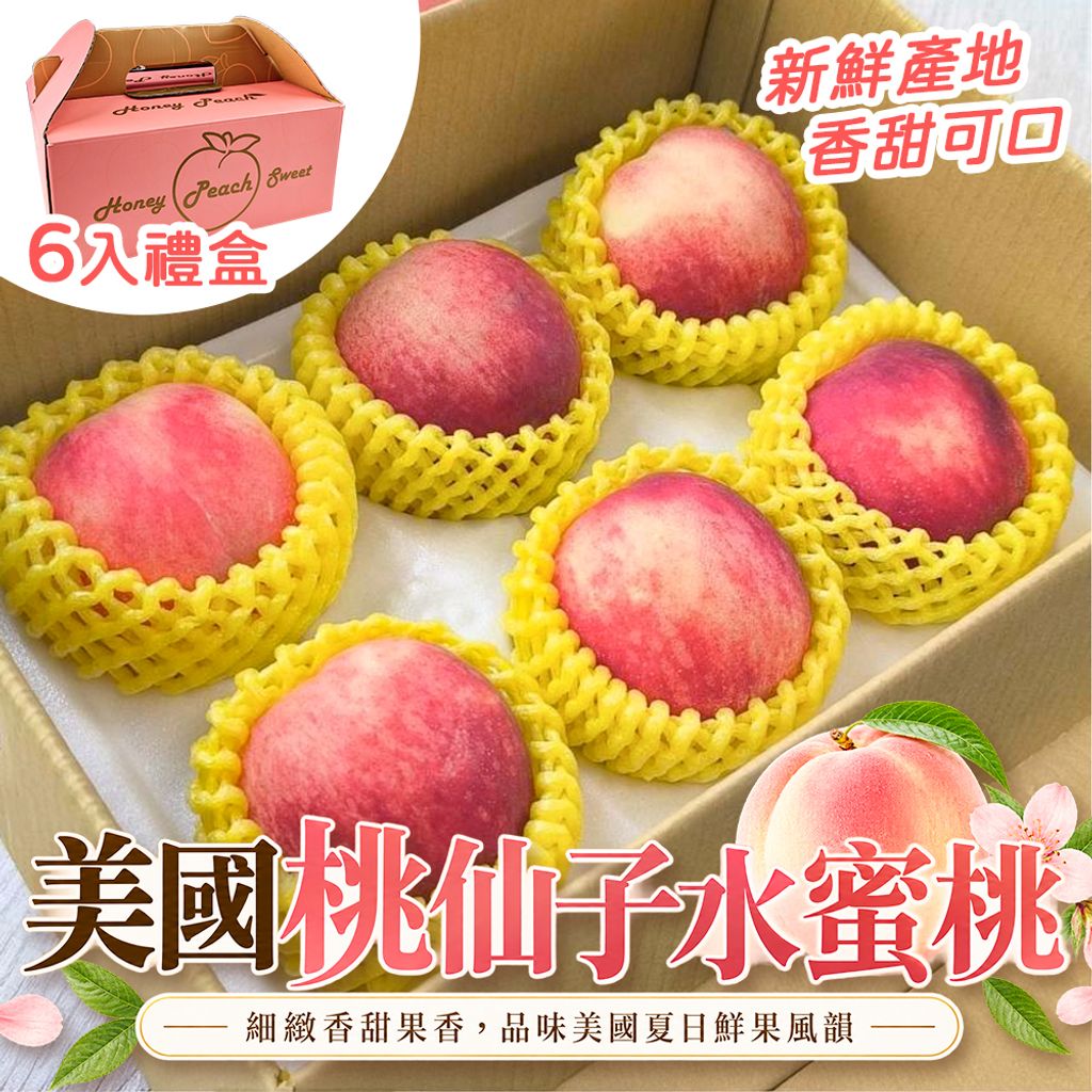 6入禮盒