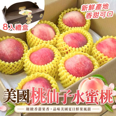 8入禮盒