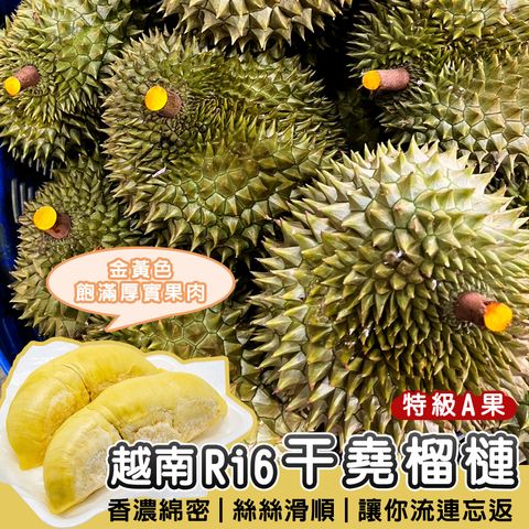 越南RI6甘堯榴槤01