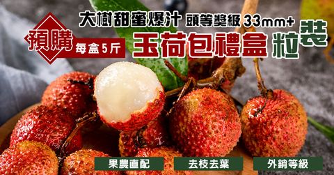 台灣大樹爆汁玉荷包33mm+