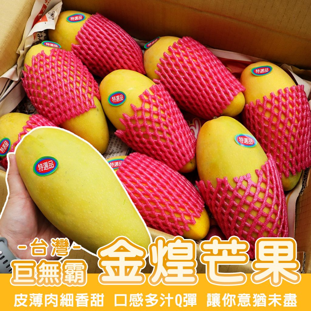 台灣金煌芒果