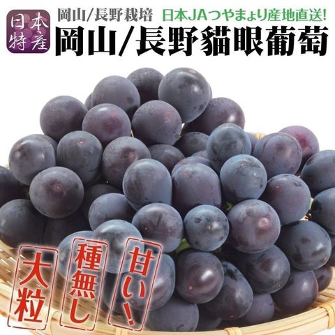 messageImage_1692959199152