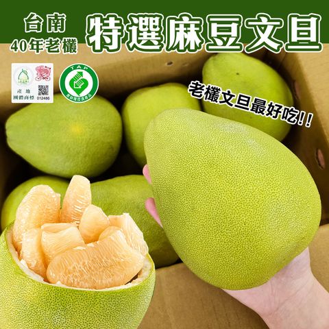 麻豆文旦01