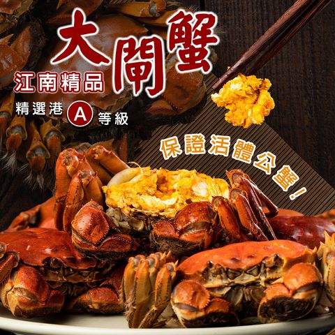 江南精品大閘蟹