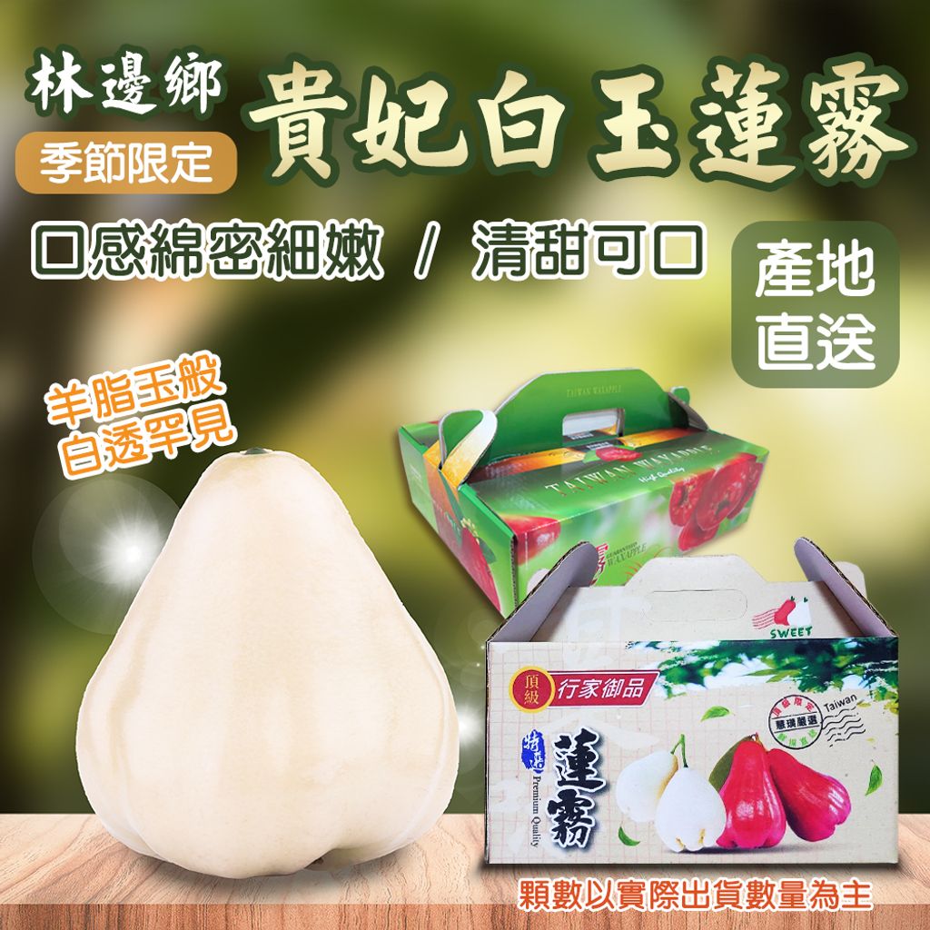 林邊鄉貴妃白玉蓮霧_1