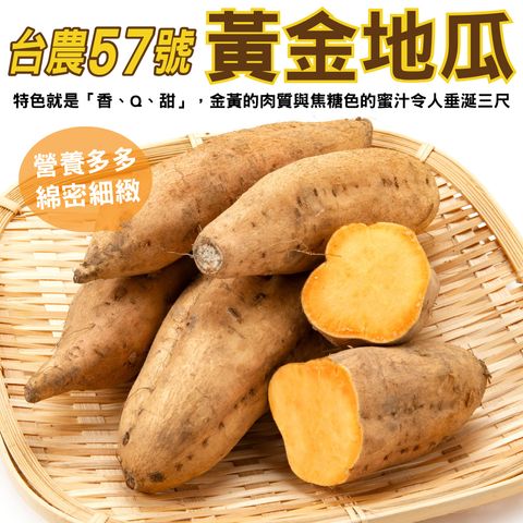 台農57號黃金地瓜-7