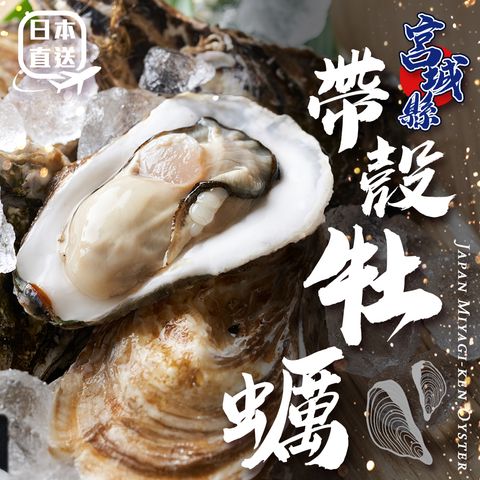 日本宮城縣帶殼牡蠣