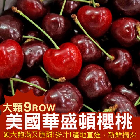 美國華盛頓櫻桃-自取價-3
