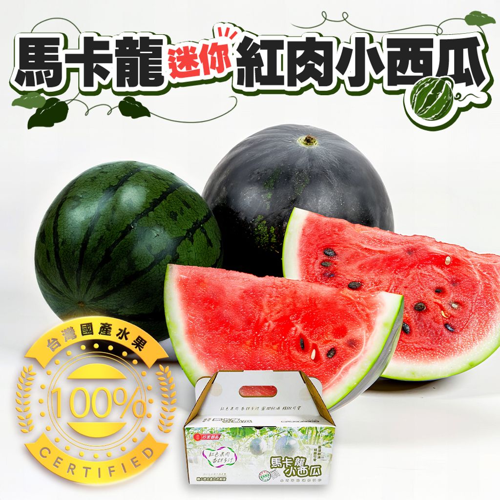 馬卡龍迷你紅肉小西瓜