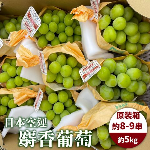 日本空運麝香葡萄-原裝箱-1_0