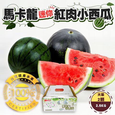 馬卡龍迷你紅肉小西瓜 大果