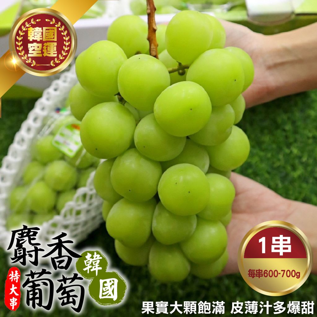 韓國麝香葡萄(特大串)-1_0