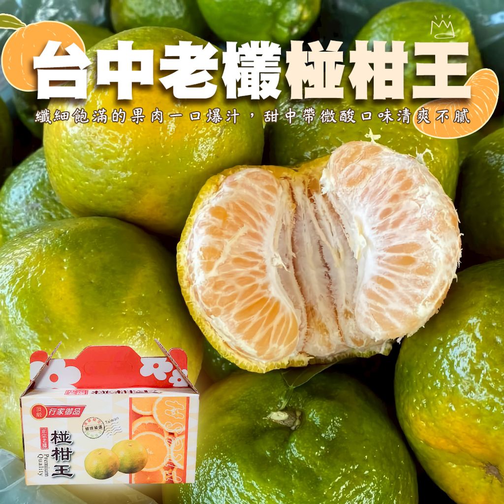 台中老欉椪柑王