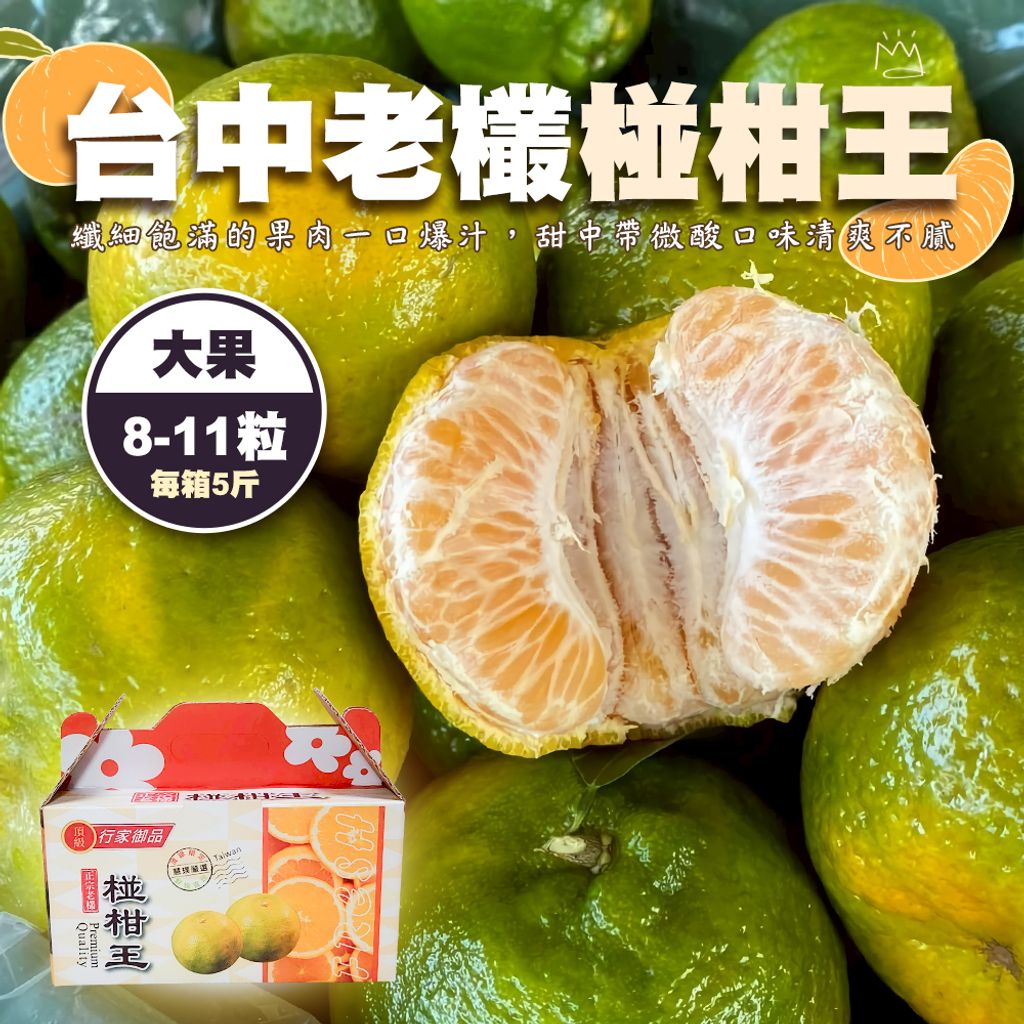 台中老欉椪柑王 大果