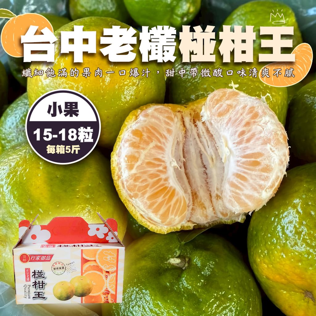 台中老欉椪柑王 小果
