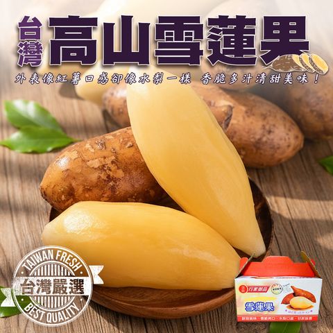 台灣高山雪蓮果2