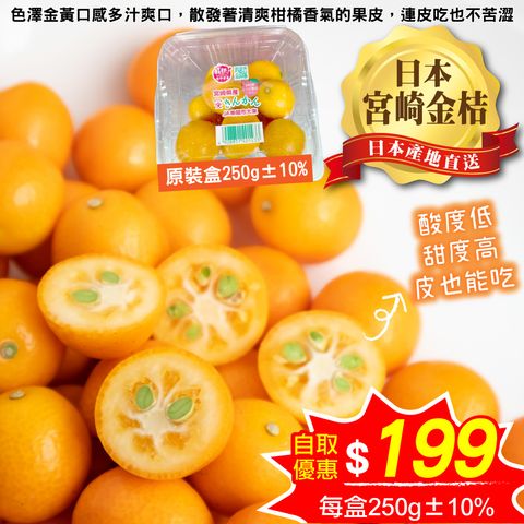 日本宮崎金桔-自取價