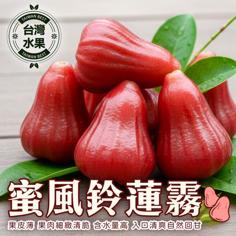 台灣蜜風鈴蓮霧