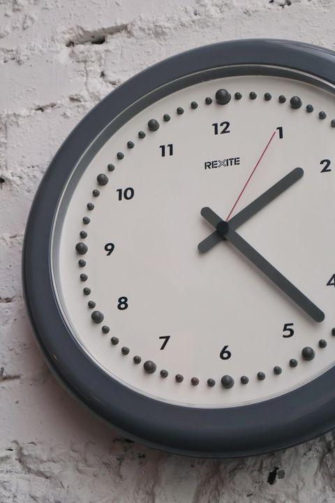 77229455.jpeg?width=480