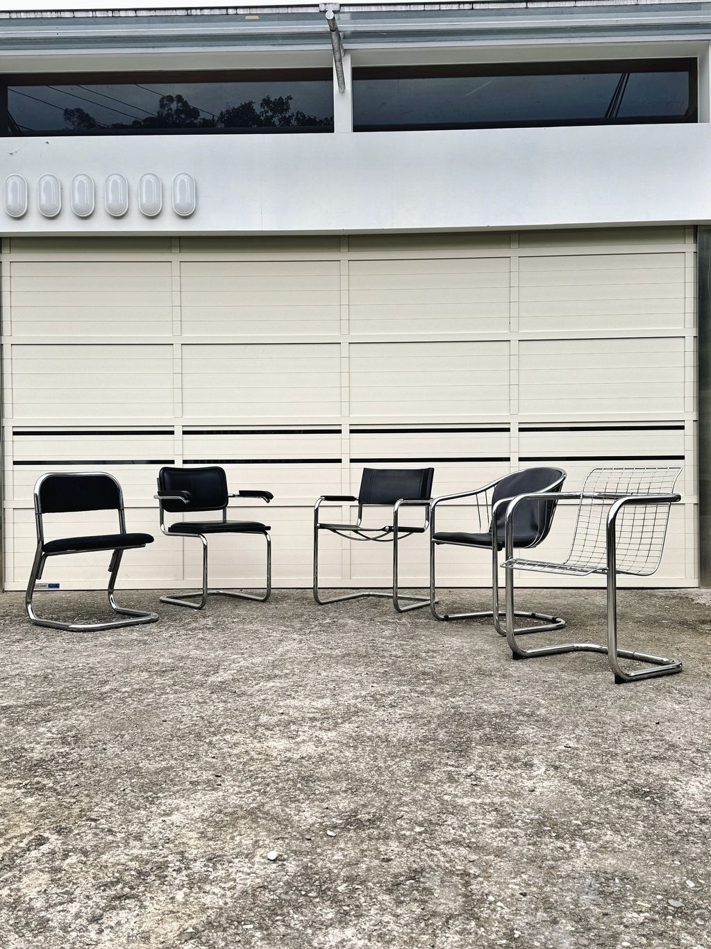 相片 2026-1-30 16 24 18