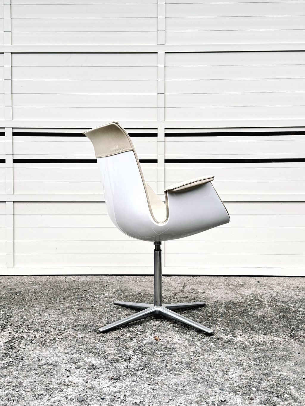 相片 2026-1-30 16 58 50