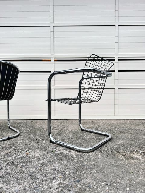 相片 2026-1-30 16 37 44