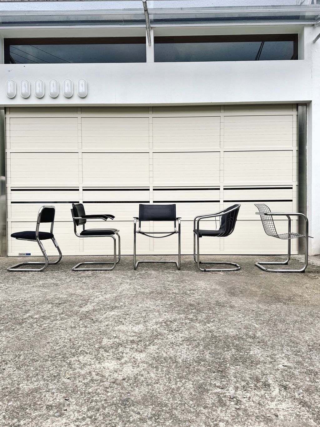 相片 2026-1-30 16 27 32