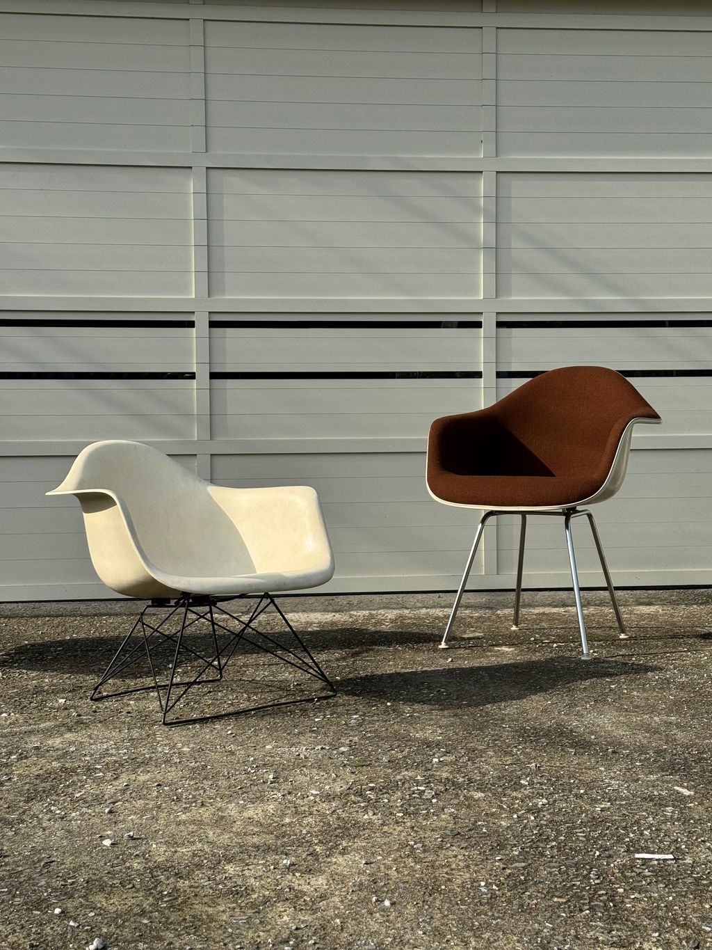 相片 2026-2-3 15 19 39