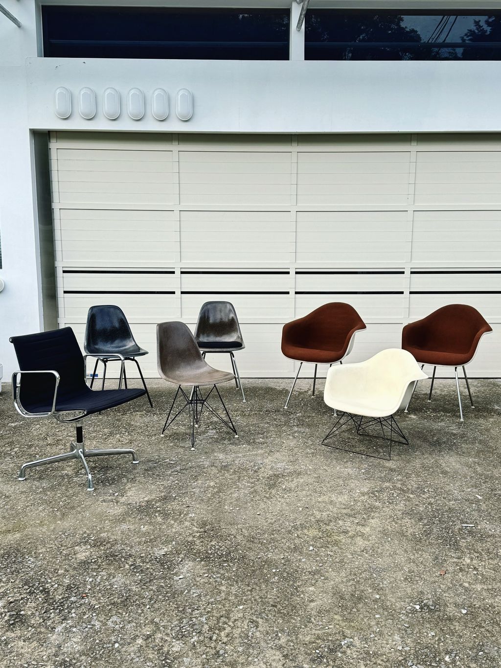 相片 2026-2-3 15 14 24