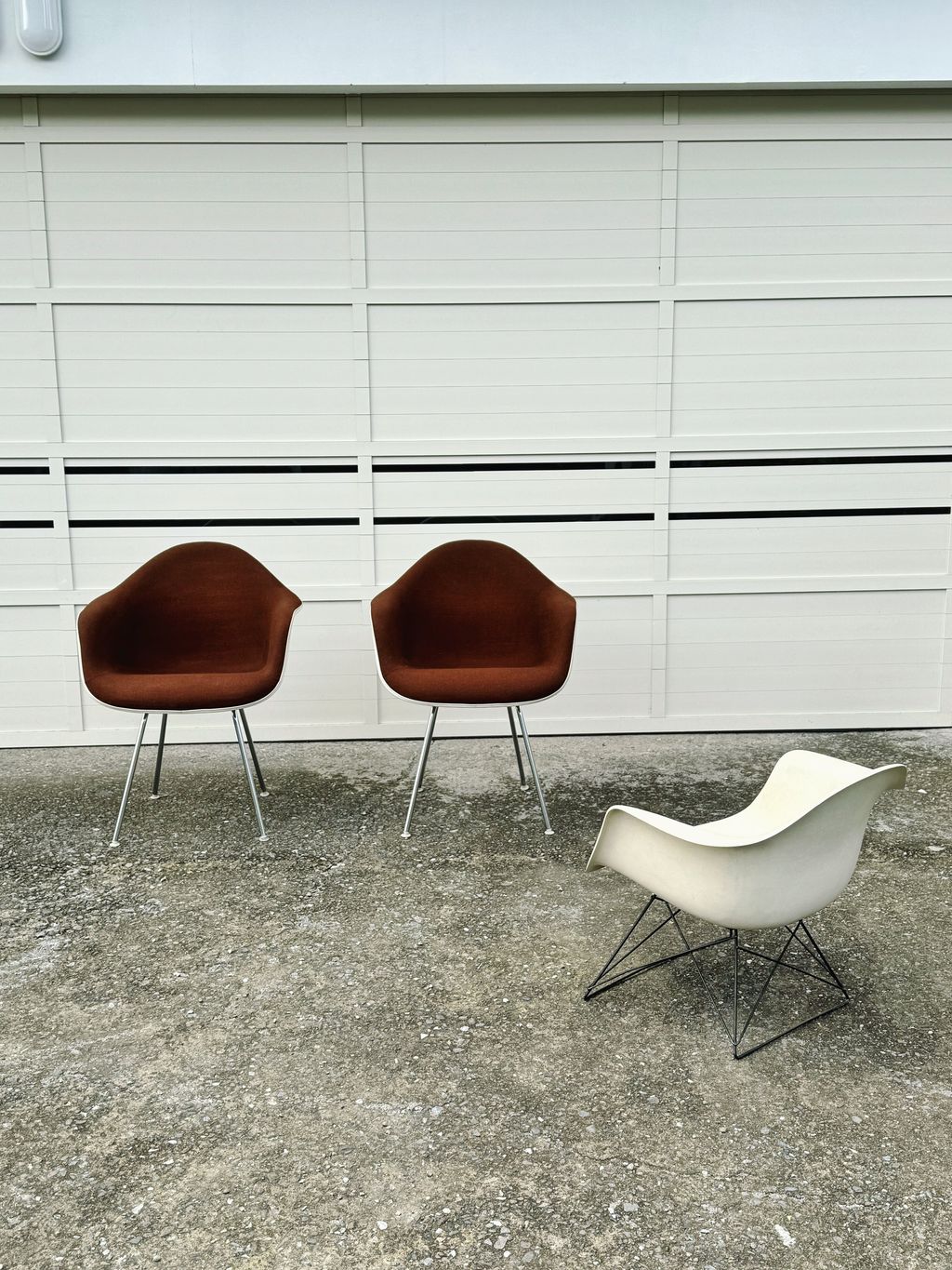 相片 2026-2-3 15 01 09