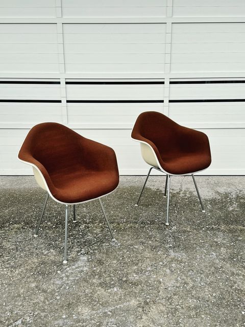 相片 2026-2-3 15 03 03