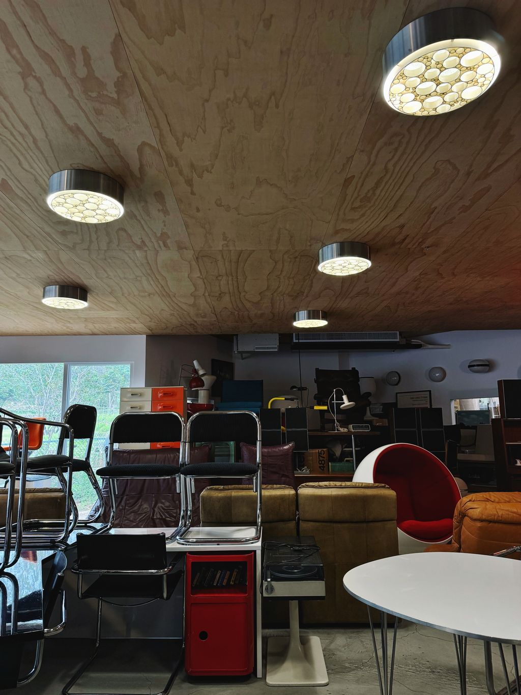 相片 2026-2-11 14 54 22