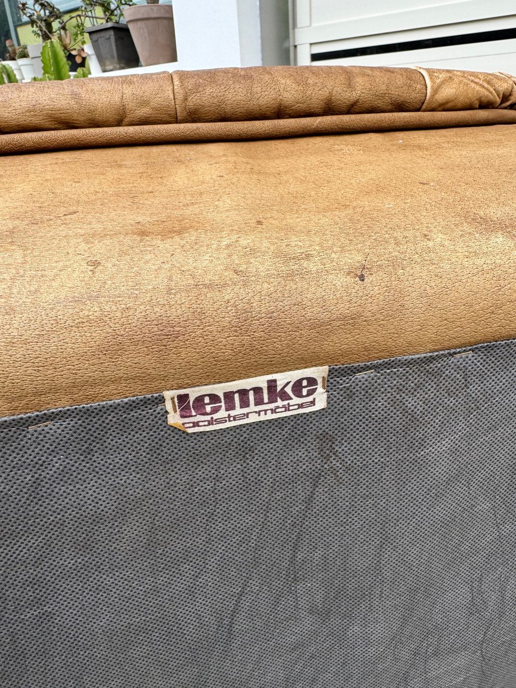 相片 2026-2-4 16 21 39