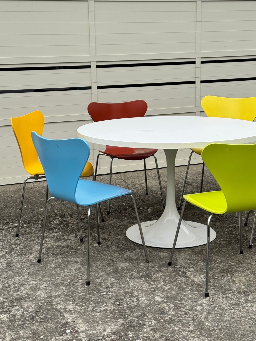 相片 2026-2-4 16 38 49