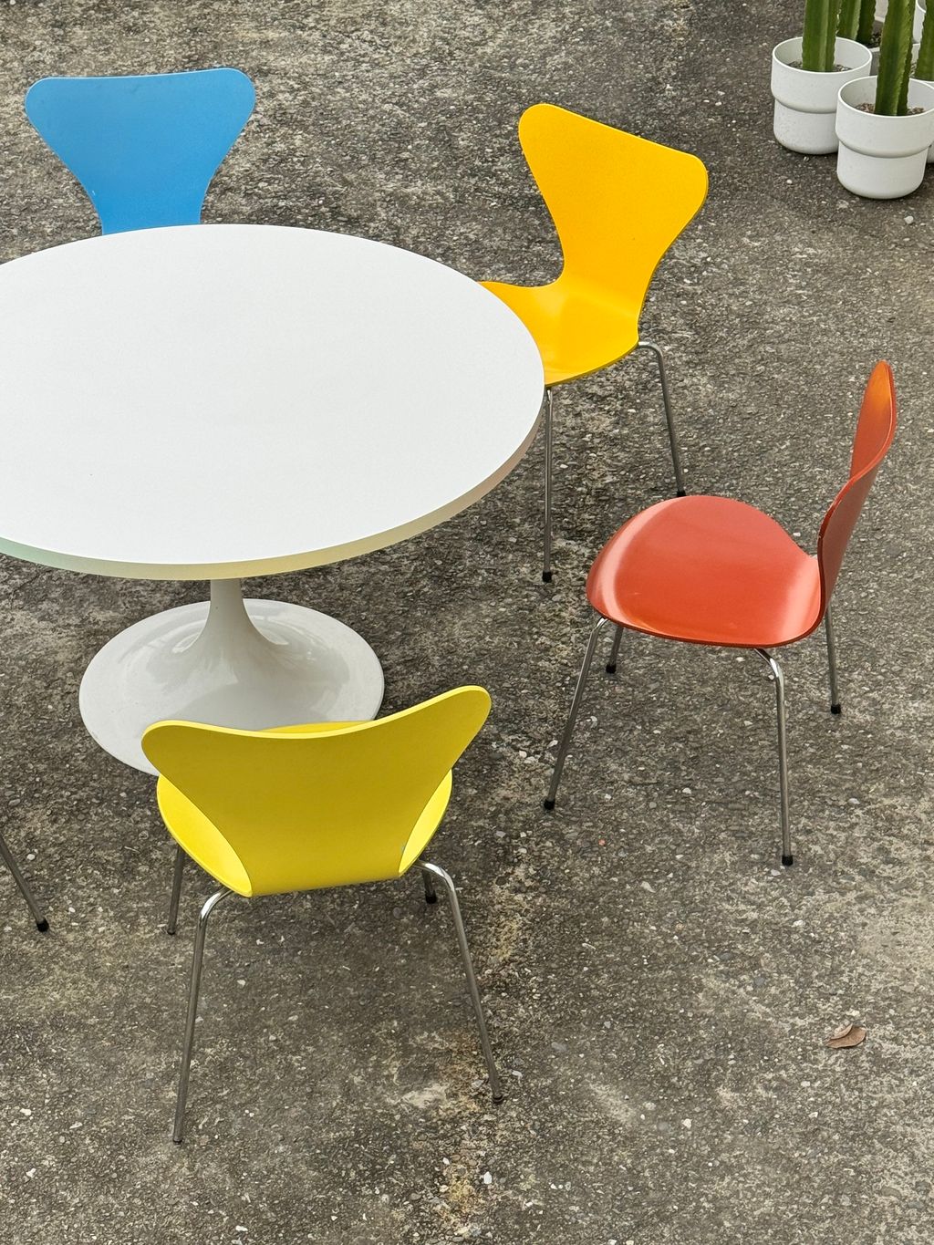 相片 2026-2-4 16 41 59