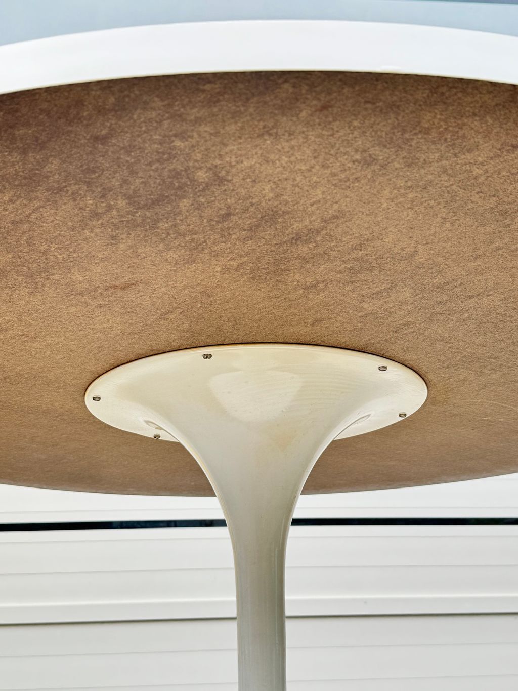 相片 2026-2-4 16 46 38