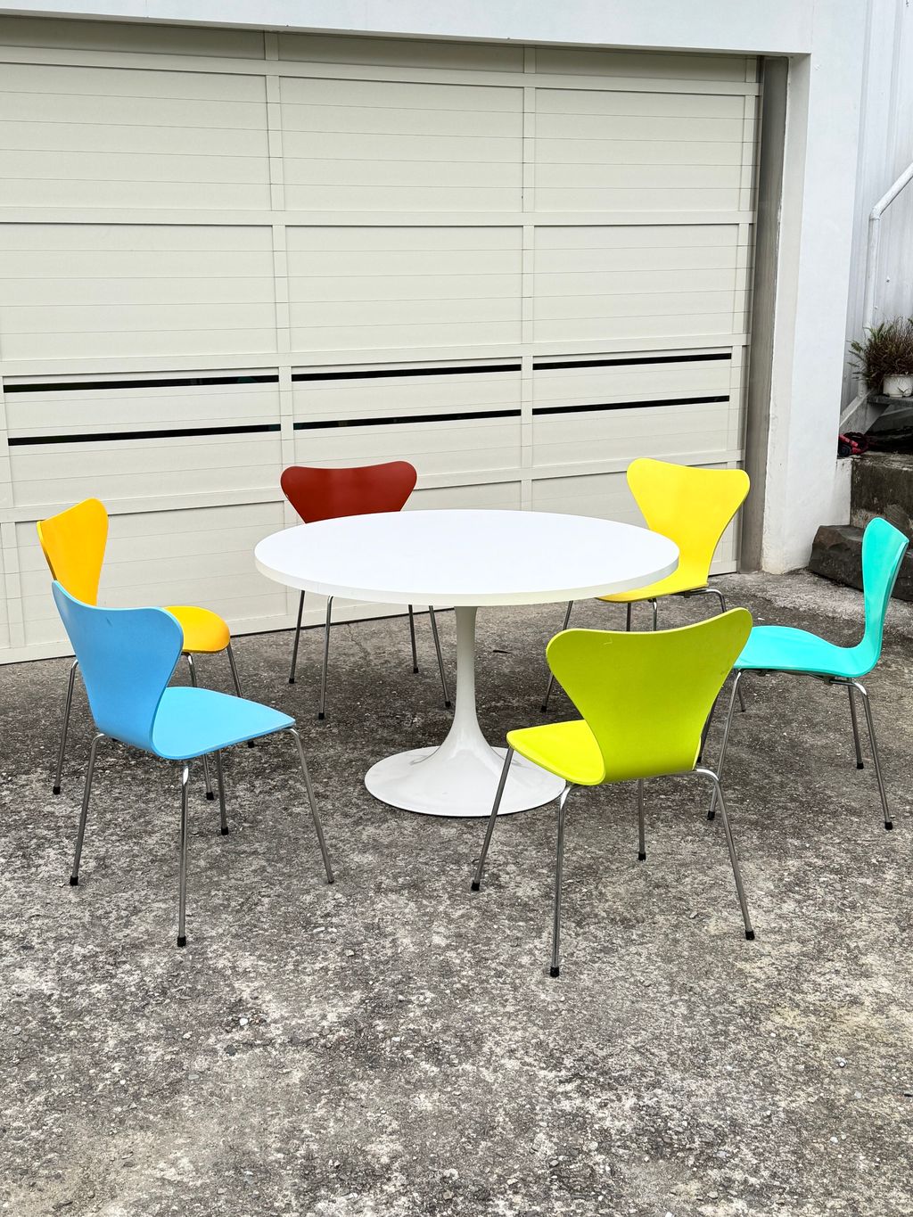 相片 2026-2-4 16 40 41