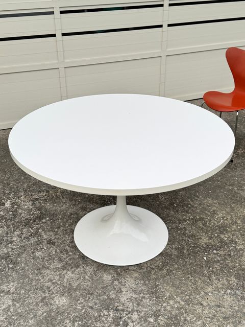 相片 2026-2-4 16 46 15