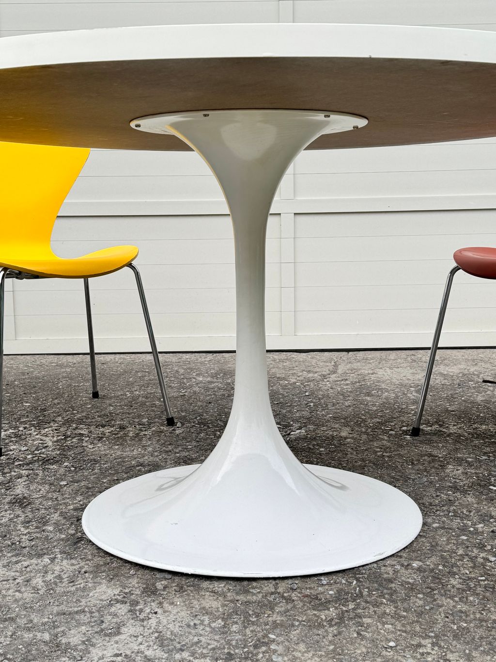 相片 2026-2-4 16 45 13